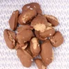 بيكان بايت - Pecan Bits